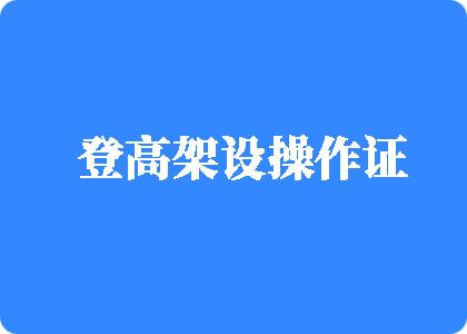 最新免费操逼视频网址登高架设操作证